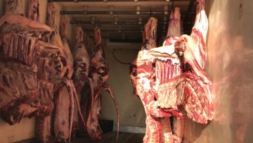 Caminhão com 1,3 tonelada de carne sem nota fiscal é retido em Gravatá