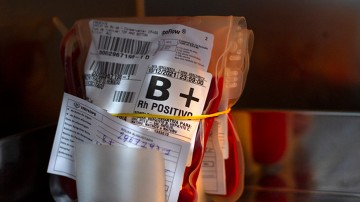 Com estoque crítico, Hemope convoca população para doar sangue