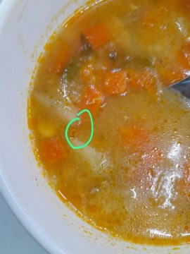 Alunos da UFPE CAA encontram larva em sopa servida no restaurante universitário 