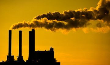 Entenda o que é o crédito de carbono e sua importância para o meio ambiente