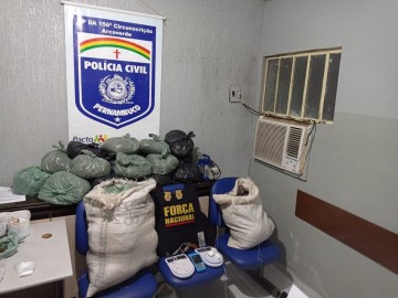 Operação Independência desarticula organização criminosa por comercialização de drogas no Estado