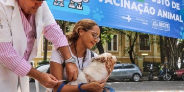 Recife realiza mutirão para vacinar cães e gatos contra raiva neste fim de semana