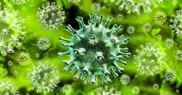 Ineficiência do sistema imunológico e redução muscular tornam o idoso mais vulnerável ao coronavírus 