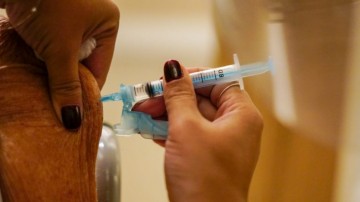 Olinda recebe 3.250 doses para vacinar profissionais da rede de atenção básica
