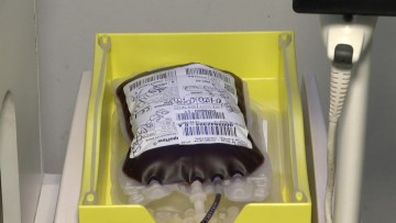 Banco de Sangue Hemato alerta para cenário de colapso no abastecimento dos hospitais