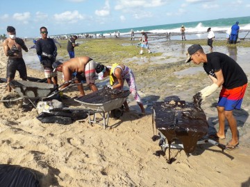 Mais de 50 toneladas de óleo já foram retirados das praias pernambucanas