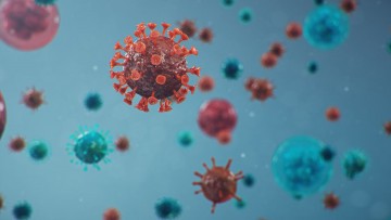 PE confirma 865 novos infectados e ultrapassa 148 mil casos da Covid-19
