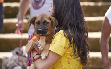 1,1 mil castrações gratuitas de cães e gatos no Hospital Veterinário em Abril