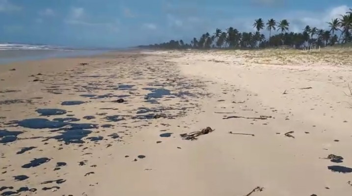 Último estado livre das manchas no Nordeste, a Bahia foi afetada nesta quinta (3), segundo o Projeto Tamar