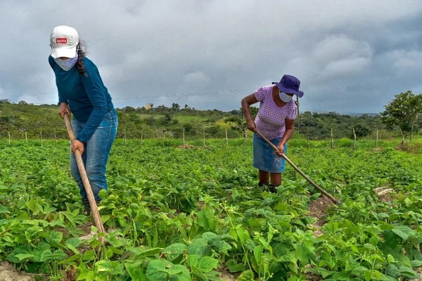 O benefício garante segurança nutricional e alimentar para famílias rurais em que as lavouras foram perdidas por questões climáticas.