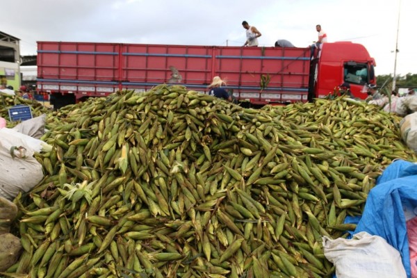 De acordo com os comerciantes, a procura do principal ingrediente junino, o milho, já registrou um aumento de 20% no mês de maio