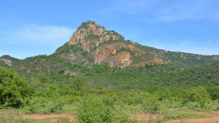 O Parque Estadual Mata da Pimenteira fica no município de Serra Talhada, no Sertão de Pernambuco.