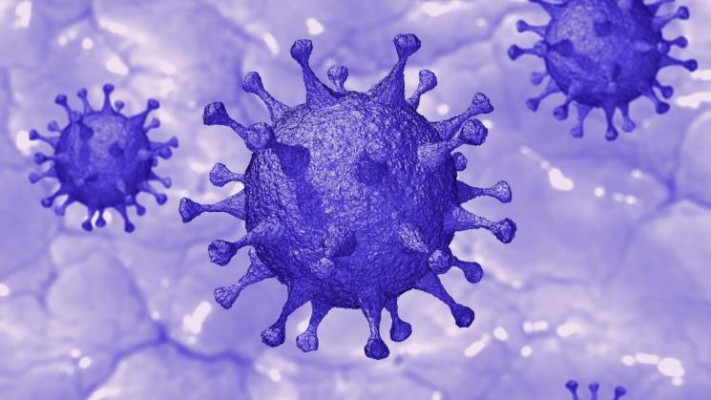 Estado ultrapassa 208 mil infectados pelo novo coronavírus