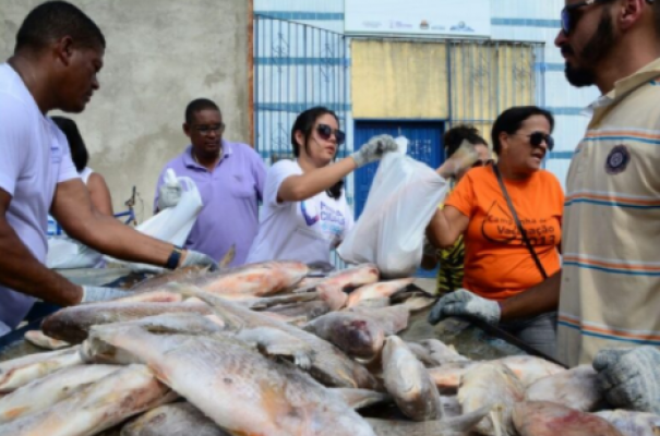 A economia com a distribuição do peixe nesta ação servirá para garantir a ampliação de outros programas sociais que, em breve, a secretaria de Assistência Social vai divulgar