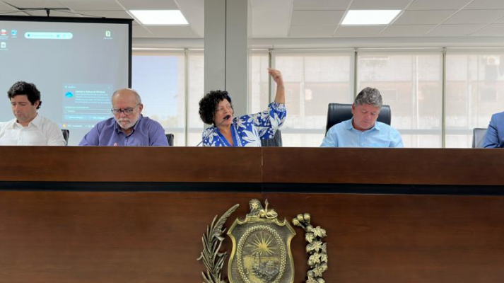 O levantamento foi exposto no auditório Ênio Guerra, na casa Joaquim Nabuco, sob o comando da líder de oposição, a deputada Dani Portela (PSOL)