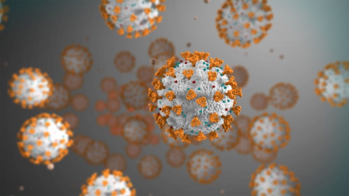 Estado totaliza 153.222 contaminados pelo novo coronavírus 