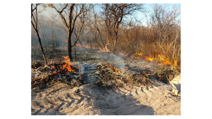 O incêndio devastou mais 700 hectares de caatinga no Sertão de Pernambuco