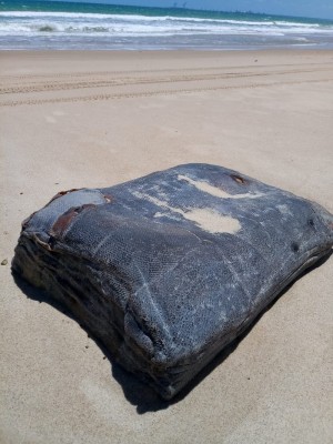  De acordo com os pesquisadores cearenses, a relação entre as 200 caixas encontradas e o óleo ao longo da costa está descartada.