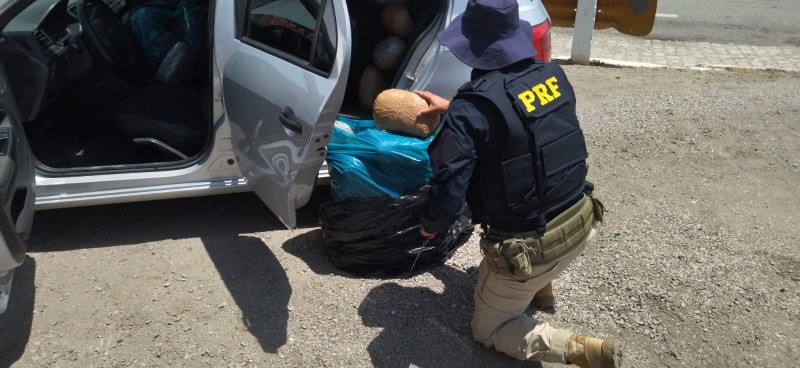 De acordo com a PRF, a droga estava embalada em formato de  “tijolos”, envoltos em fita adesiva, e estava sendo transportada em um veículo
