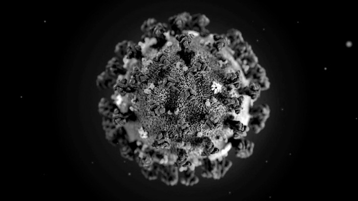 Estado ultrapassa 200 mil infectados pelo novo coronavírus 