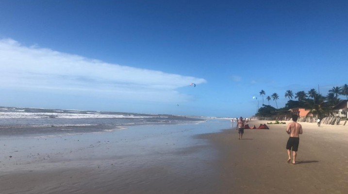 Na praia de Maracaípe, em Ipojuca, três banhistas foram hospitalizados após terem contato com algas 