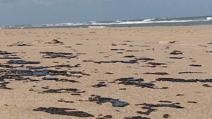 Inicialmente as manchas pretas foram encontradas em trechos das praias do Recife, Olinda, Ipojuca, Jaboatão e em Tamandaré
