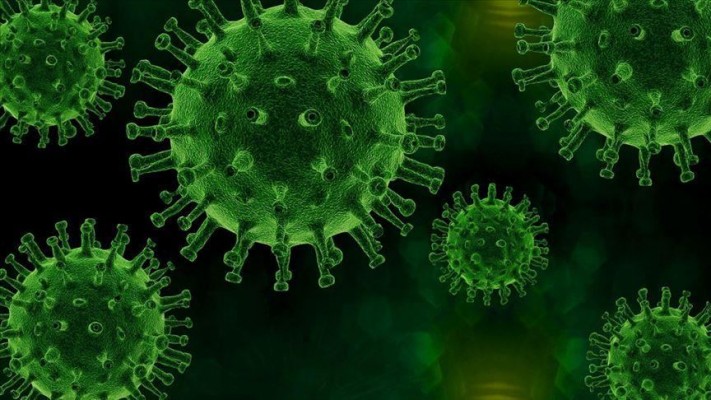 Estado totaliza 222.166 infectados pelo novo coronavírus 