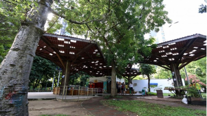Em 2019, mais de onze mil árvores foram plantadas na capital pernambucana