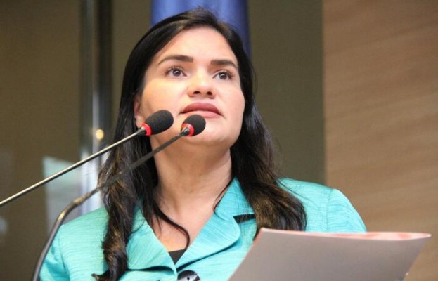 A modificação do uso da norma culta da Língua Portuguesa foi apresentado na Câmara Municipal do Recife pela vereadora Michele Collins (PP) .