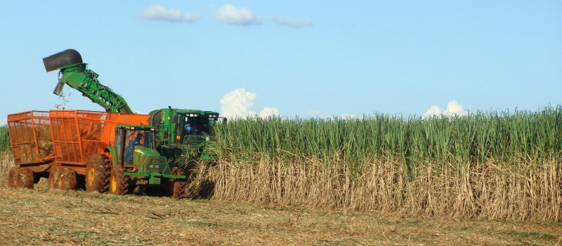 Levantamentos feitos pelo Sindaçúcar, apontam uma diminuição no consumo do biocombustível de cerca de 60%   