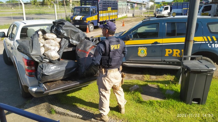 Os policiais encontraram 90 tabletes da droga, divididos em cinco sacos na caçamba do veículo