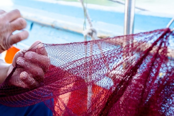 Em Pernambuco, 4.236 pescadores, distribuídos em 12 cidades do estado, estão com o cadastro em dia