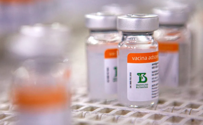 No total, mais de 110 milhões de doses da vacina foram enviadas ao Ministério da Saúde. 
