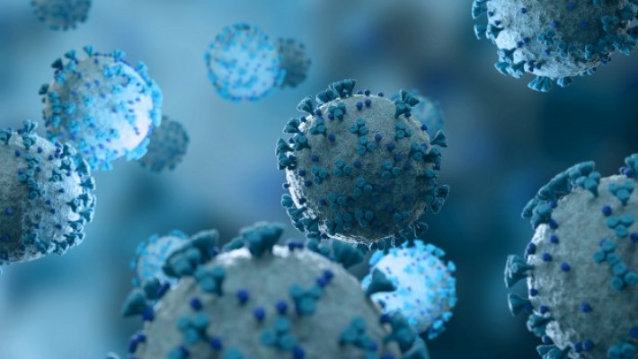 Estado ultrapassa 205 mil infectados pelo novo coronavírus 