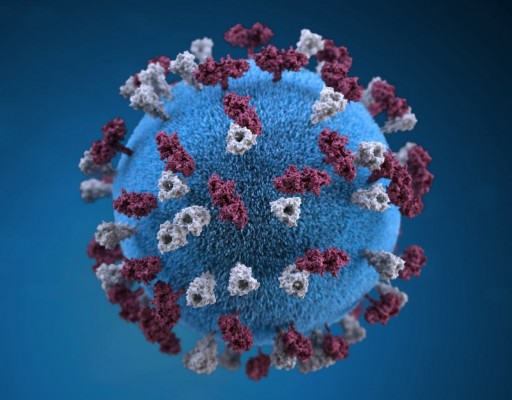  Estado totaliza 111.773 pessoas infectadas pelo novo coronavírus, além de 7.156 óbitos pela doença 