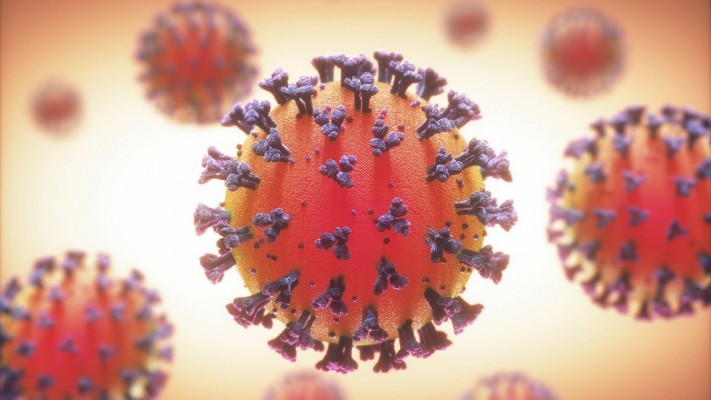 Estado totaliza 159.476 infectados pelo novo coronavírus 