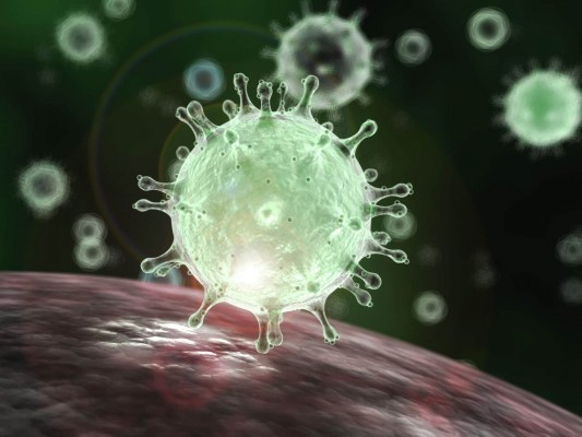 Estado totaliza 191.161 infectados pelo novo coronavírus