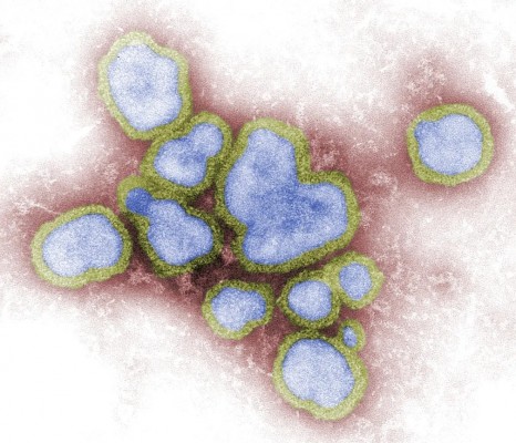 A maior incidência do vírus ocorre em meses mais frios do ano