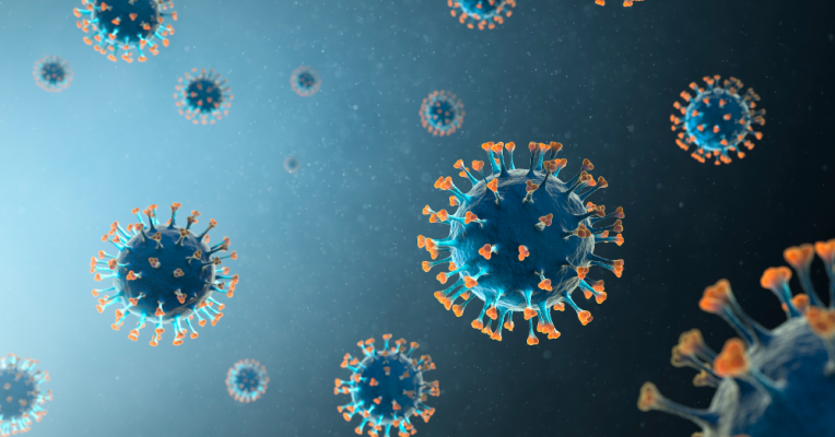 Estado totaliza 146.325 infectados pelo novo coronavírus 