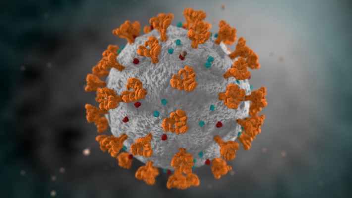 Neste sábado (8), o estado confirmou 1.241 novos pacientes infectados pelo novo coronavírus 