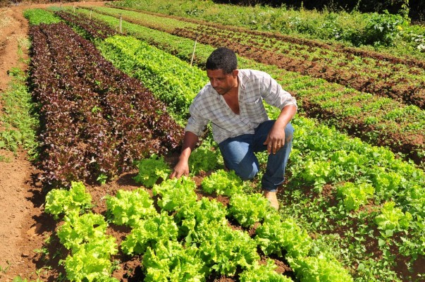 O objetivo é de atender as demandas econômicas e sociais de pequenos produtores rurais e das famílias que estão vulneráveis por causa dos impactos da Covid-19