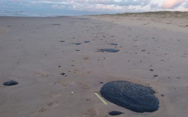 A limpeza das praias já começou em muitos pontos contaminados