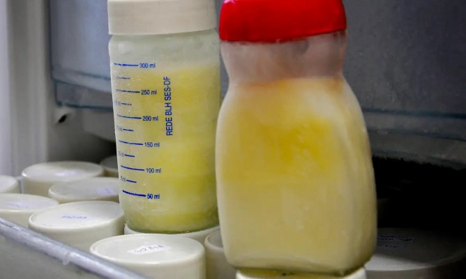 Meta é ampliar em 5% a oferta desse leite a bebês internados