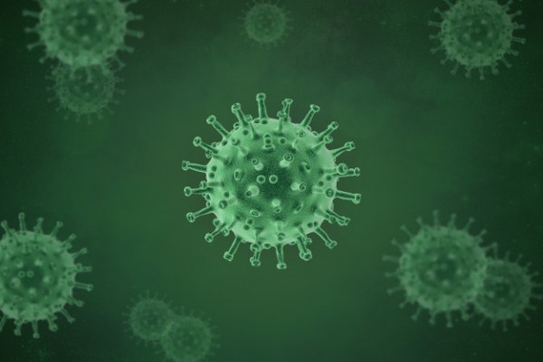 Estado totaliza 163.156 infectados pelo novo coronavírus 