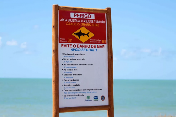 O incidente aconteceu 13 após surfista de 32 anos ter sido mordido por um tubarão na Praia dos Milagres, em Olinda, também em local proibido para banho e prática de quaisquer outras atividades náuticas