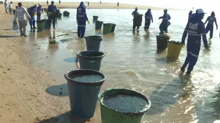 Segundo a Secretaria de Meio Ambiente e Sustentabilidade de Pernambuco já foram recolhidas 489 toneladas de de resíduos de petróleo no litoral do estado.