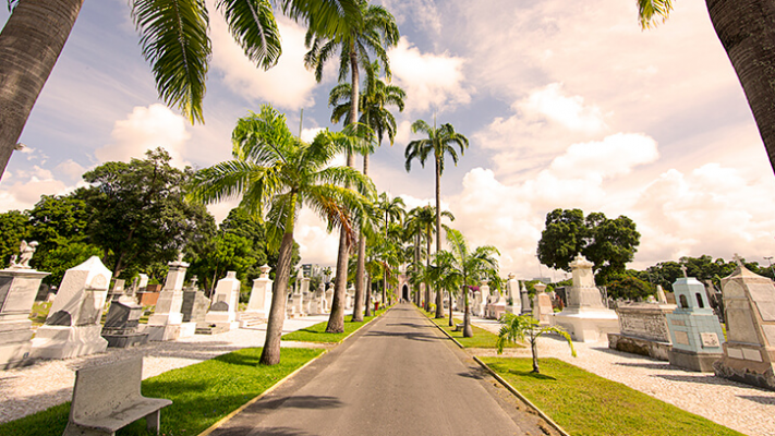 A Prefeitura do Recife vai realizar uma série de serviços nos cinco cemitérios públicos do município.