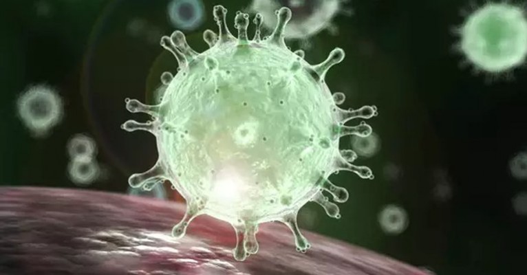 Estado confirma 605 novos casos da doença e soma 113.788 pessoas infectadas pelo novo coronavírus 