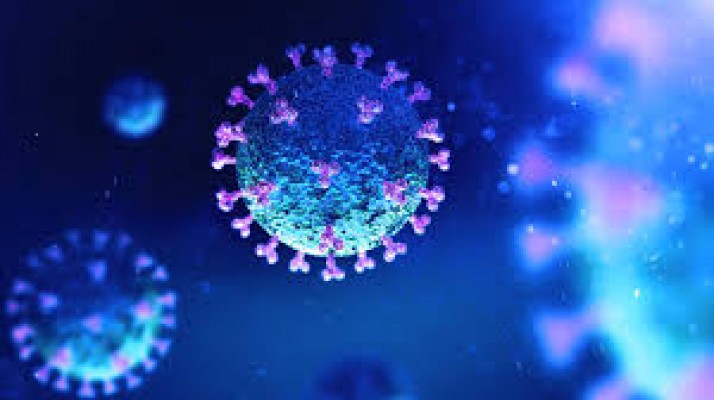 Estado ultrapassa 156 mil infectados pelo novo coronavírus 