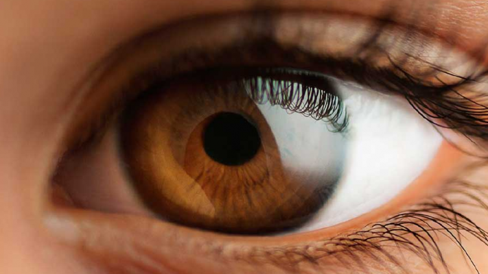 Segundo a OMS há uma estimativa de que 60% das cegueiras são evitáveis